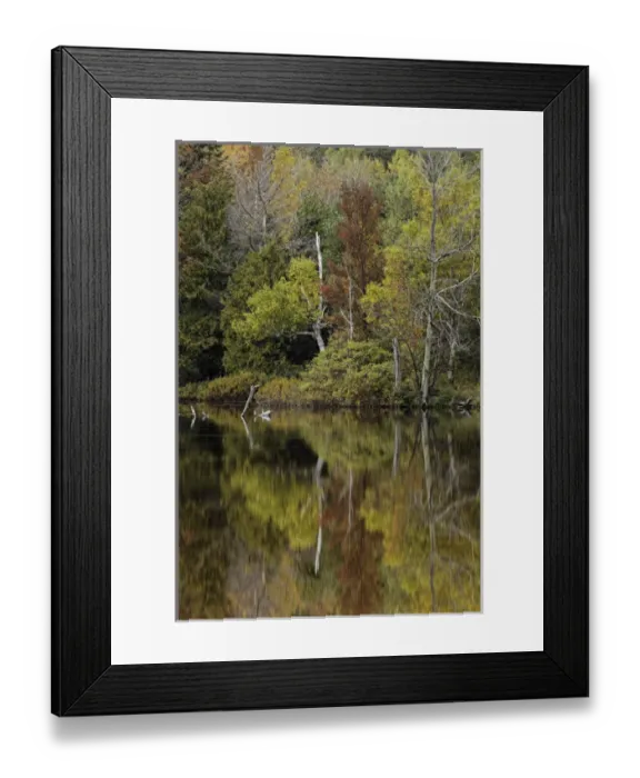 Framed Print : Autumn color reflected on Andrus Lake, Upper Peninsula, Michigan