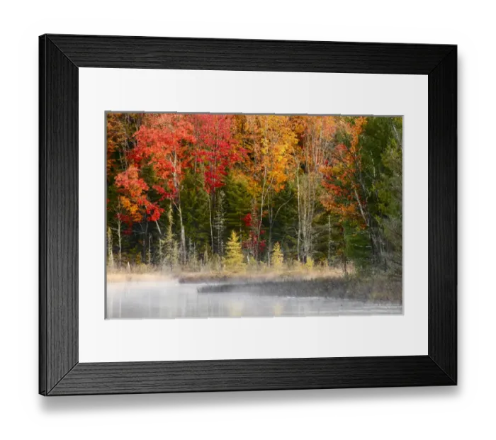 Framed Print : Autumn Colors and mist reflecting on Council Lake at sunrise, Hiawatha National Forest