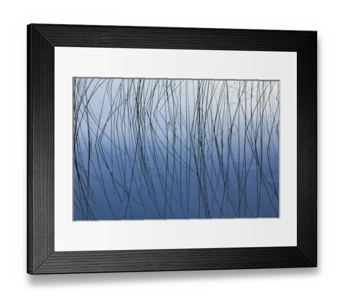 Framed Print : Reeds and reflection Thornton Lake, Hiawatha National Forest, Upper Peninsula of Michigan Framed Print : Reeds and reflection Thornton Lake, Hiawatha National Forest, Upper Peninsula of Michigan