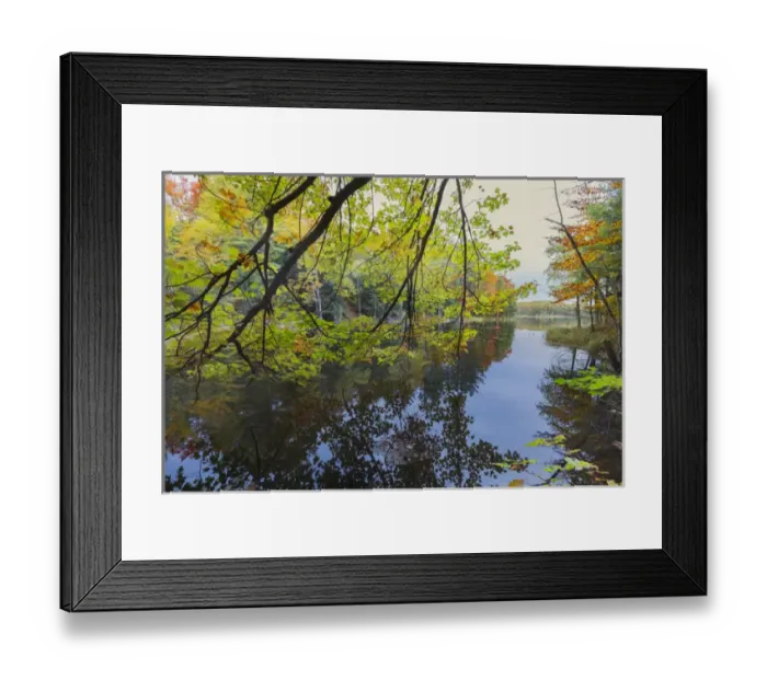 Framed Print : Autumn Colors and mist reflecting on Council Lake at sunrise, Hiawatha National Forest Framed Print : Autumn Colors and mist reflecting on Council Lake at sunrise, Hiawatha National Forest