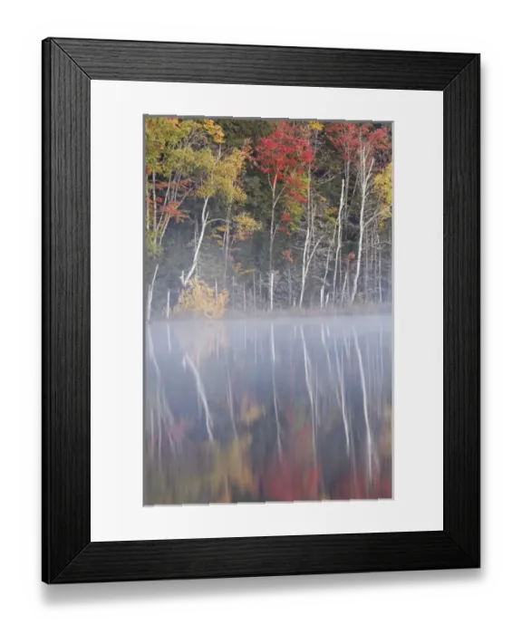 Framed Print : Autumn Colors and mist reflecting on Council Lake at sunrise, Hiawatha National Forest
