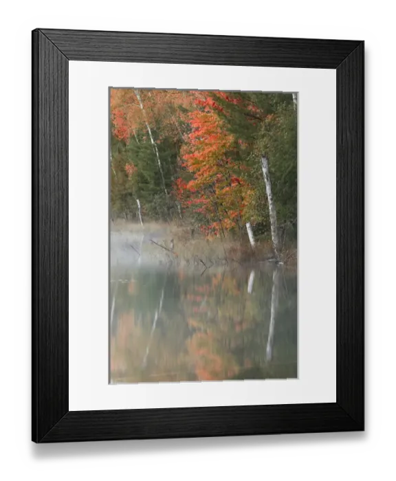 Framed Print : Autumn Colors and mist reflecting on Council Lake at sunrise, Hiawatha National Forest Framed Print : Autumn Colors and mist reflecting on Council Lake at sunrise, Hiawatha National Forest