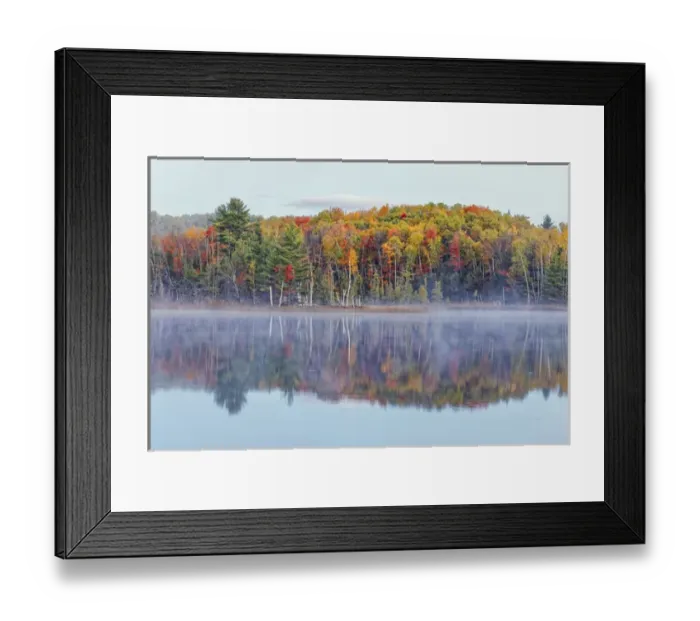 Framed Print : Autumn Colors and mist reflecting on Council Lake at sunrise, Hiawatha National Forest