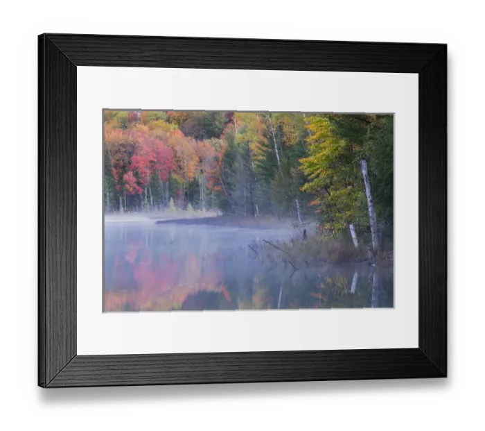 Framed Print : Autumn Colors and mist reflecting on Council Lake at sunrise, Hiawatha National Forest Framed Print : Autumn Colors and mist reflecting on Council Lake at sunrise, Hiawatha National Forest