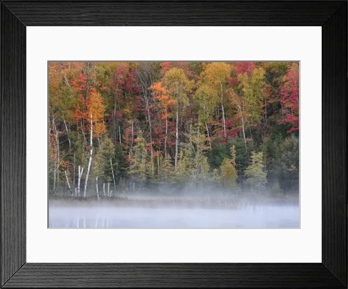 Framed Print : Autumn Colors and mist reflecting on Council Lake at sunrise, Hiawatha National Forest
