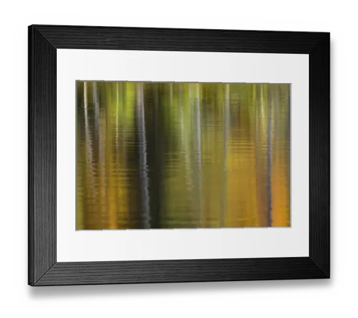 Framed Print : Fall colors reflecting on Irwin Lake, Hiawatha National Forest, Alger County, Upper Framed Print : Fall colors reflecting on Irwin Lake, Hiawatha National Forest, Alger County, Upper