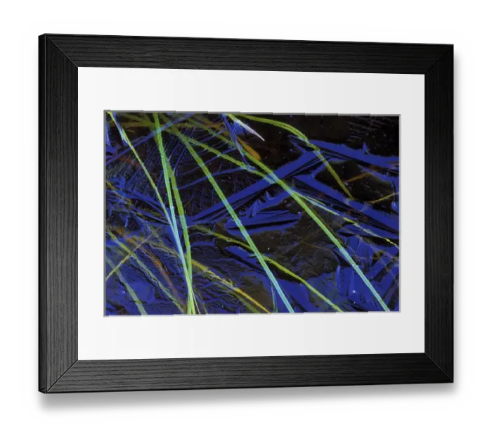 Framed Print : USA, Michigan, Upper Peninsula, Sedge leaves under thin ice in autumn. Credit as