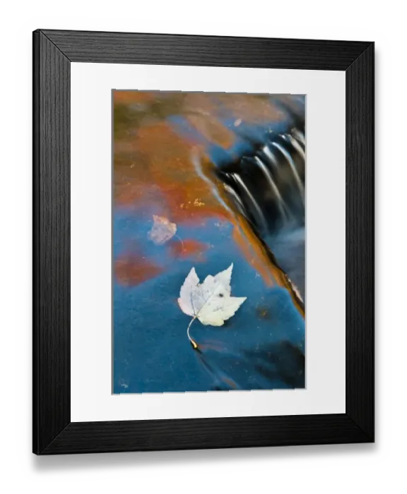Framed Print : USA, Michigan, Upper Peninsula. Leaf floating in fall reflections at Bond Falls. Credit as Framed Print : USA, Michigan, Upper Peninsula. Leaf floating in fall reflections at Bond Falls. Credit as