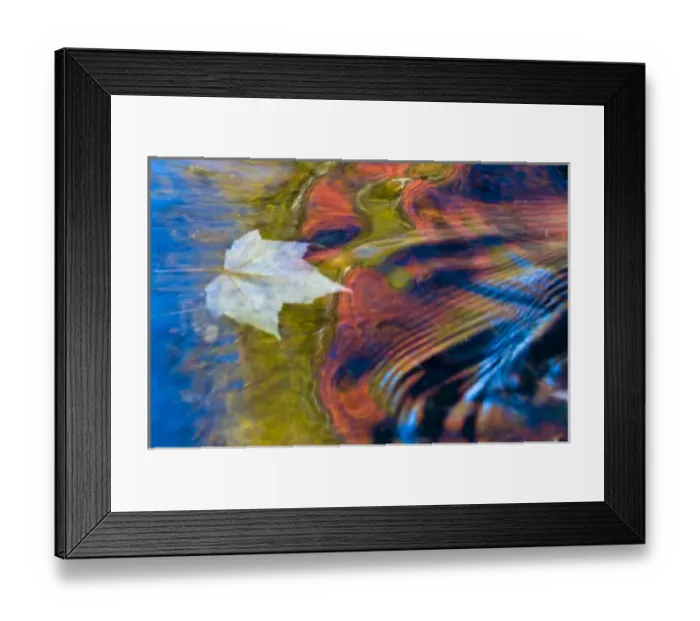 Framed Print : USA, Michigan, Upper Peninsula. Floating maple leaf and fall reflections in Bond Falls