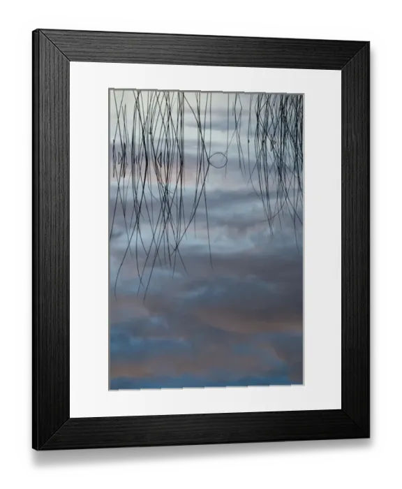 Framed Print : USA, Michigan, Upper Peninsula. Cloud reflections and reeds in Thornton Lake. Credit as