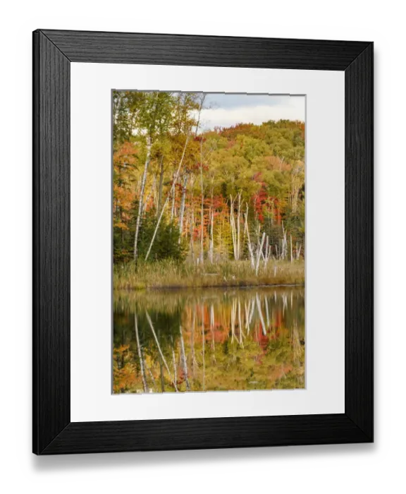 Framed Print : Shoreline of Red Jack Lake at sunrise, Hiawatha National Forest, Upper Peninsula Framed Print : Shoreline of Red Jack Lake at sunrise, Hiawatha National Forest, Upper Peninsula
