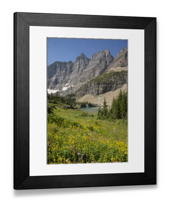 Framed Print : USA, Montana, Glacier National Park. Meadow above Iceberg Lake