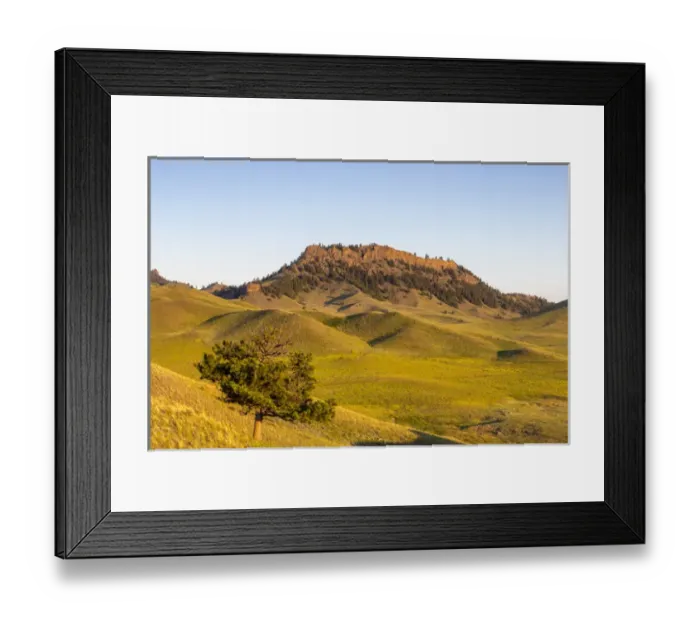 Framed Print : Rolling hills of the Bears Paw Mountains in summer in Blaine County, Montana, USA Framed Print : Rolling hills of the Bears Paw Mountains in summer in Blaine County, Montana, USA