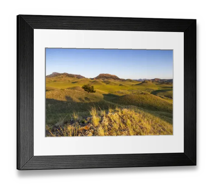 Framed Print : Rolling hills of the Bears Paw Mountains in summer in Blaine County, Montana, USA Framed Print : Rolling hills of the Bears Paw Mountains in summer in Blaine County, Montana, USA