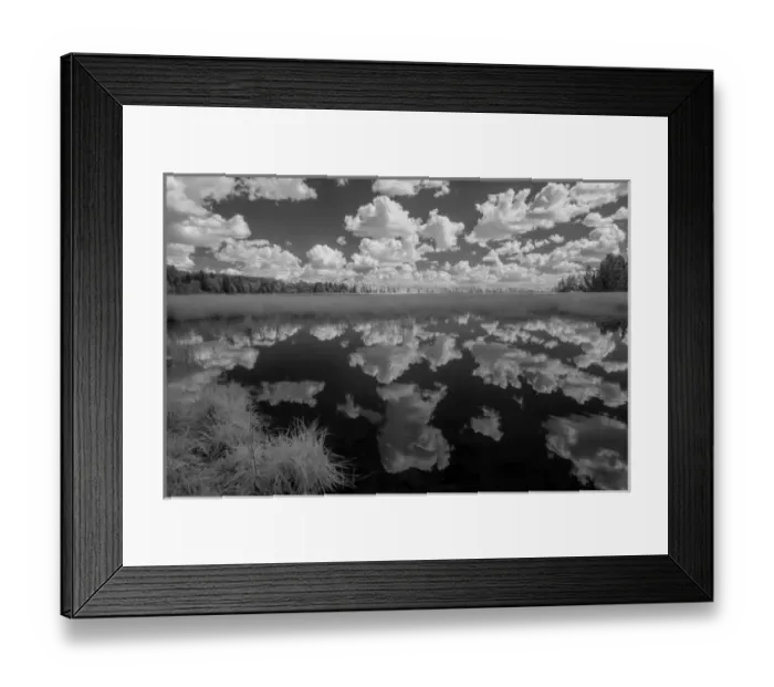 Framed Print : USA, Minnesota, Itasca State Park Framed Print : USA, Minnesota, Itasca State Park