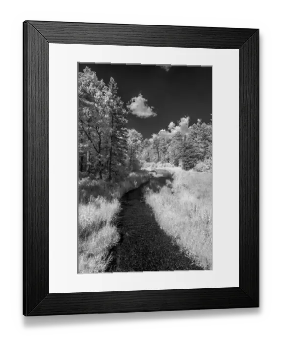 Framed Print : USA, Minnesota, Itasca State Park