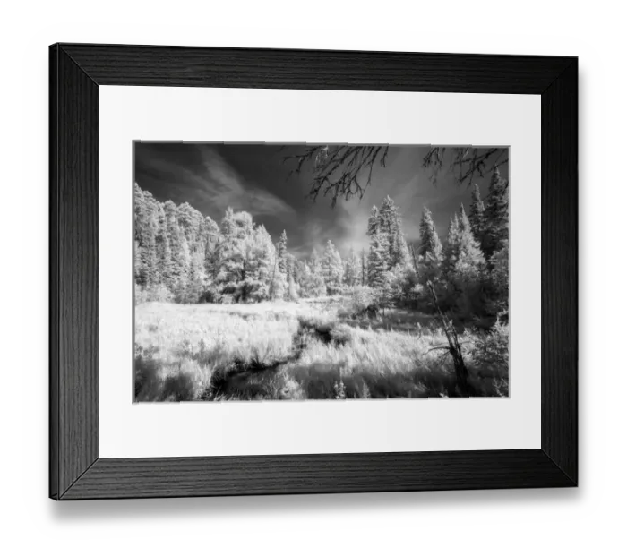 Framed Print : USA, Minnesota, Itasca State Park Framed Print : USA, Minnesota, Itasca State Park