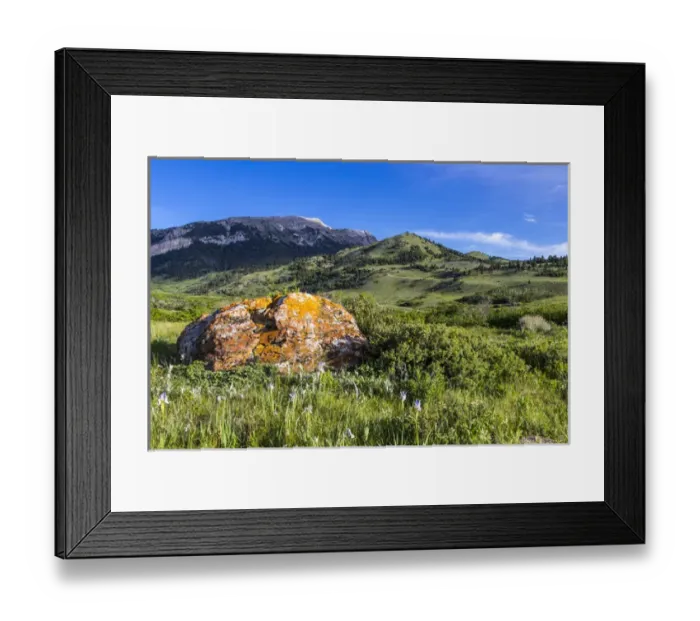 Framed Print : Lichen encrusted rock and wild iris lead to Fairview Mountain along the Rocky Mountain