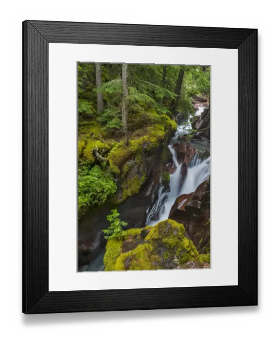 Framed Print : Avalanche Creek Gorge in Glacier National Park, Montana, USA Framed Print : Avalanche Creek Gorge in Glacier National Park, Montana, USA