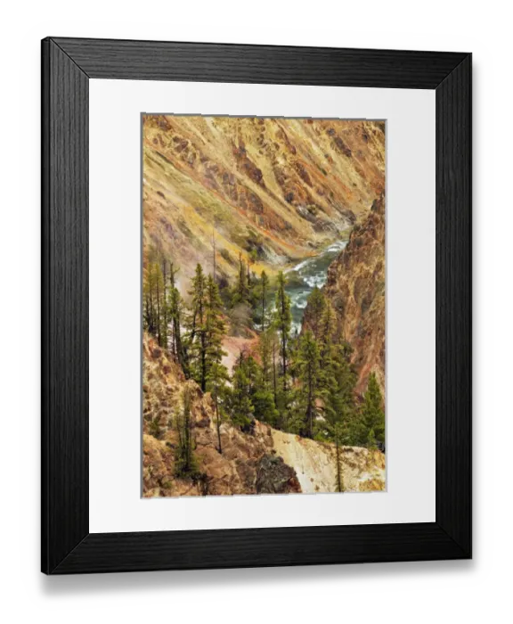 Framed Print : Trees and colorful patterns on canyon walls, Grand Canyon of Yellowstone, Yellowstone National Park