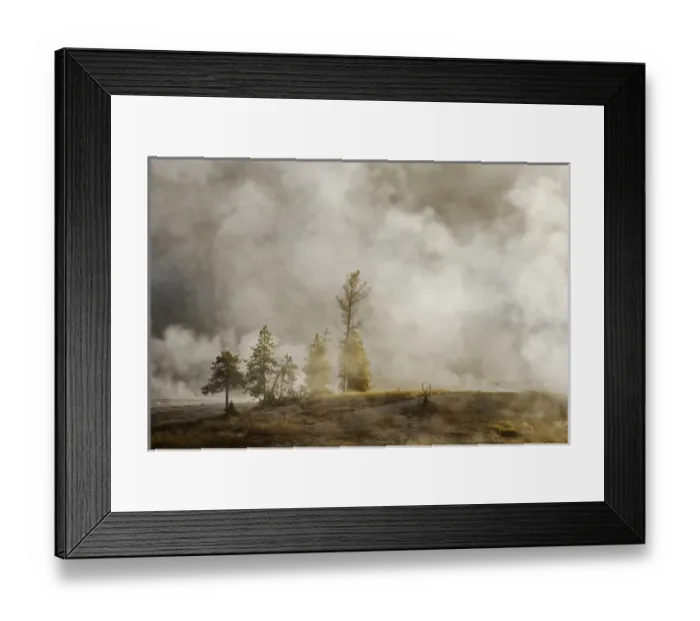 Framed Print : Steam around trees, Upper Geyser Basin, Yellowstone National Park, Montana / Wyoming Framed Print : Steam around trees, Upper Geyser Basin, Yellowstone National Park, Montana / Wyoming