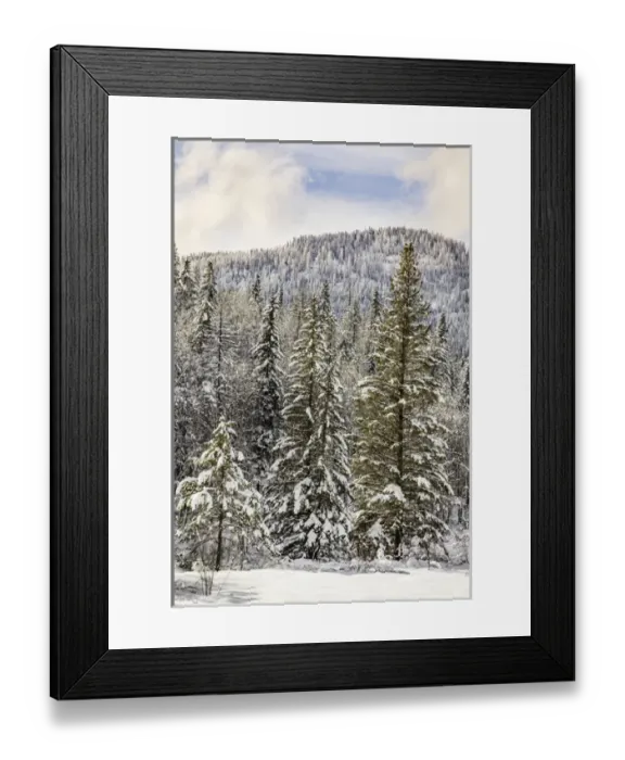 Framed Print : Winter mountain scene, Montana