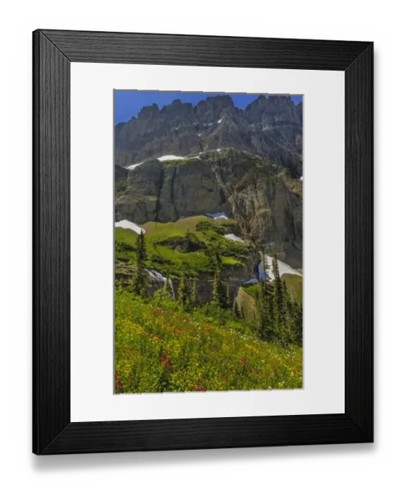 Framed Print : Morning Eagle Falls and summer wildflowers along Mount Gould in Glacier National Park