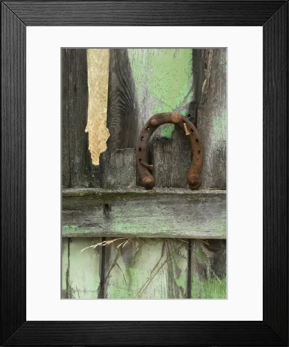 Framed Print : USA, Montana. Rusty horseshoe on old fence of a homestead Framed Print : USA, Montana. Rusty horseshoe on old fence of a homestead