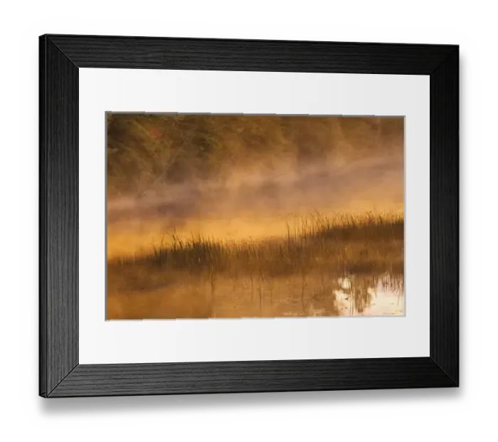 Framed Print : Tahquamenon River at sunrise, near Paradise, Michigan, Upper Peninsula of Michigan Framed Print : Tahquamenon River at sunrise, near Paradise, Michigan, Upper Peninsula of Michigan
