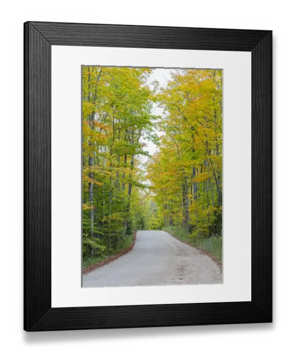 Framed Print : Michigan, Pictured Rocks National Lakeshore, road to Miners Falls with trees in fall Framed Print : Michigan, Pictured Rocks National Lakeshore, road to Miners Falls with trees in fall
