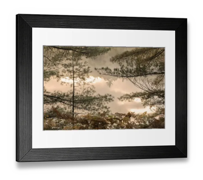 Framed Print : Tahquamenon River at sunrise, near Paradise, Michigan, Upper Peninsula of Michigan Framed Print : Tahquamenon River at sunrise, near Paradise, Michigan, Upper Peninsula of Michigan