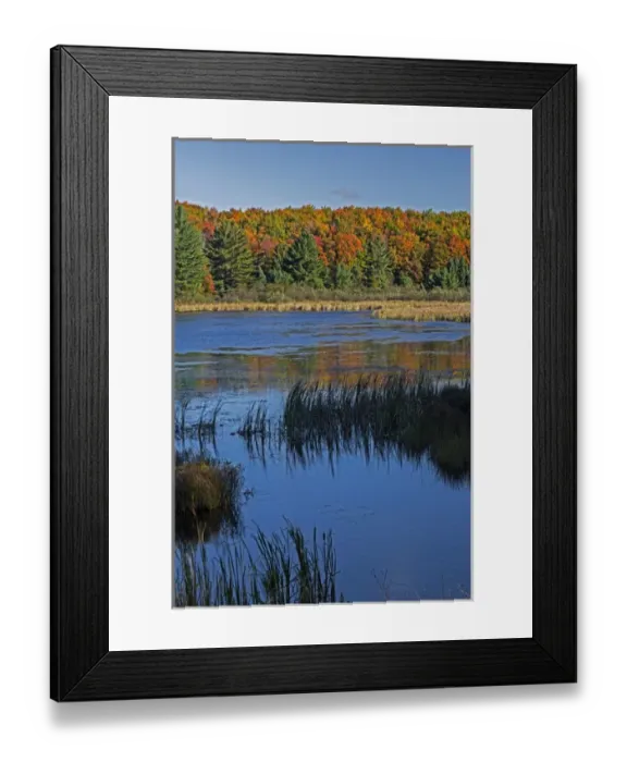 Framed Print : Michigan, Hiawatha National Forest, Doe Lake Framed Print : Michigan, Hiawatha National Forest, Doe Lake