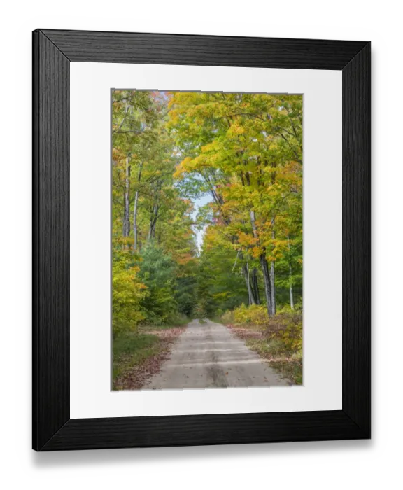 Framed Print : Michigan, Hiawatha National Forest, road with trees in fall color Framed Print : Michigan, Hiawatha National Forest, road with trees in fall color