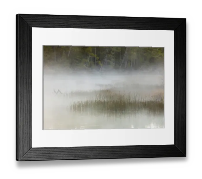 Framed Print : Tahquamenon River at sunrise, near Paradise, Michigan, Upper Peninsula of Michigan