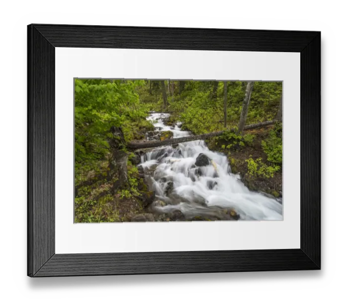 Framed Print : Hellroaring Creek flowing strong in spring near Whitefish, Montana, USA Framed Print : Hellroaring Creek flowing strong in spring near Whitefish, Montana, USA