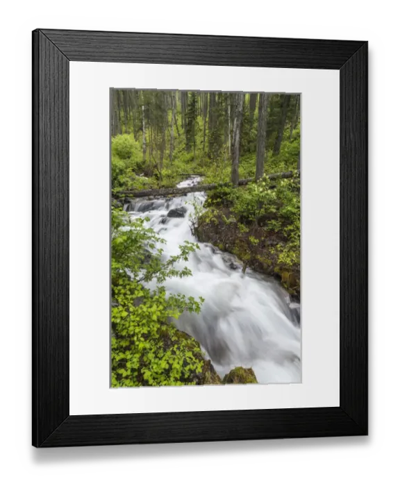 Framed Print : Hellroaring Creek flowing strong in spring near Whitefish, Montana, USA Framed Print : Hellroaring Creek flowing strong in spring near Whitefish, Montana, USA