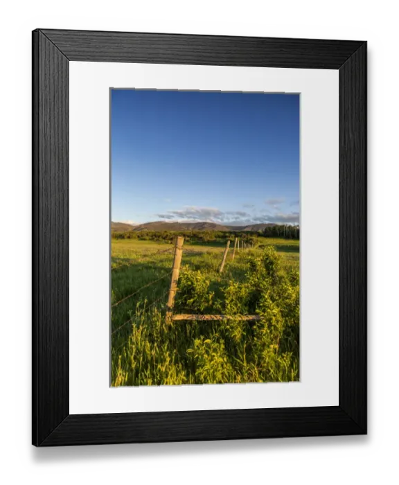 Framed Print : Fencerow in pastureland in the foothills of the Highwood Mountains in Choteau County Framed Print : Fencerow in pastureland in the foothills of the Highwood Mountains in Choteau County