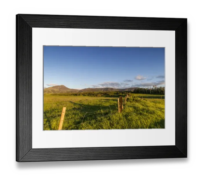 Framed Print : Fencerow in pastureland in the foothills of the Highwood Mountains in Choteau County Framed Print : Fencerow in pastureland in the foothills of the Highwood Mountains in Choteau County