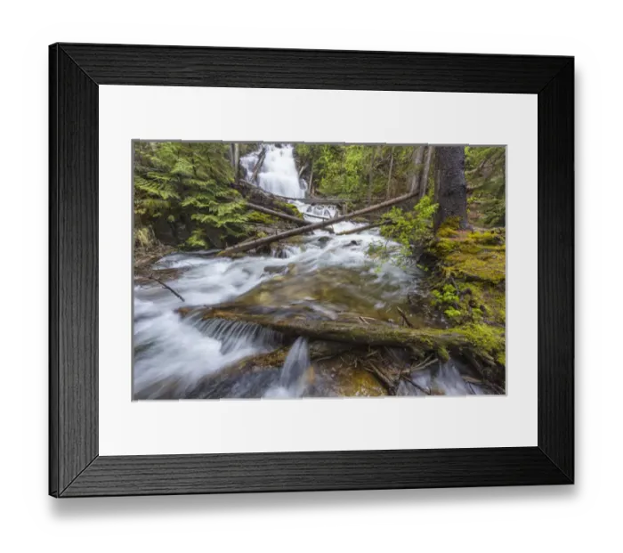 Framed Print : Martin Falls in the Flathead National Forest near Whitefish Montana Framed Print : Martin Falls in the Flathead National Forest near Whitefish Montana