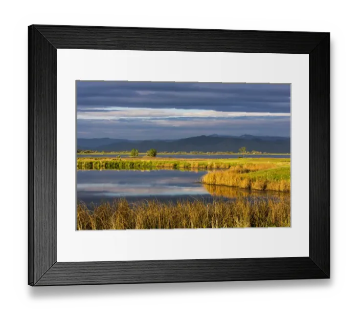 Framed Print : Small pond reflects the clouds at sunrise in the Ninepipe WMA in the Mission Valley Framed Print : Small pond reflects the clouds at sunrise in the Ninepipe WMA in the Mission Valley