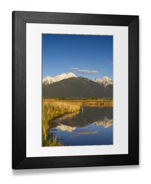 Framed Print : Wetlands pond reflects Mission Mountain Range at Ninepipe WMA near Ronan, Montana, USA Framed Print : Wetlands pond reflects Mission Mountain Range at Ninepipe WMA near Ronan, Montana, USA