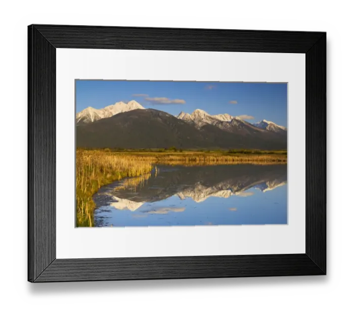 Framed Print : Wetlands pond reflects Mission Mountain Range at Ninepipe WMA near Ronan, Montana, USA Framed Print : Wetlands pond reflects Mission Mountain Range at Ninepipe WMA near Ronan, Montana, USA