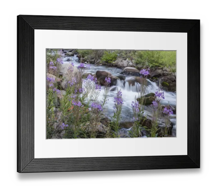 Framed Print : Rock Creek in the Pioneer Mountains of the Beaverhead-Deer Lodge National Forest