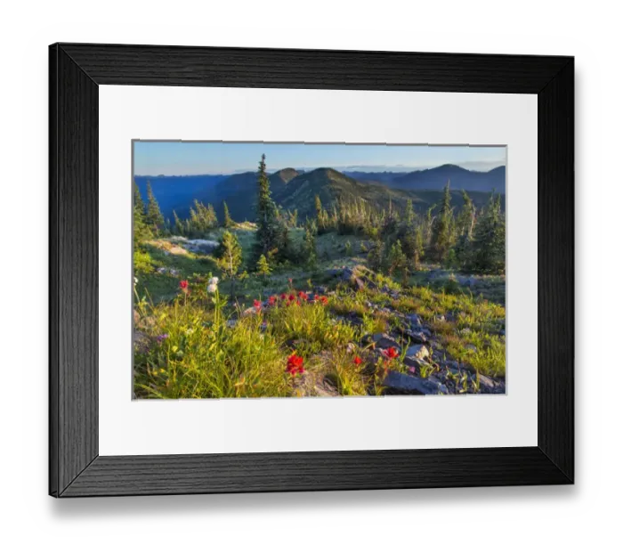 Framed Print : Widlfowers in the Whitefish Range from Werner Peak in the Stillwater State Forest