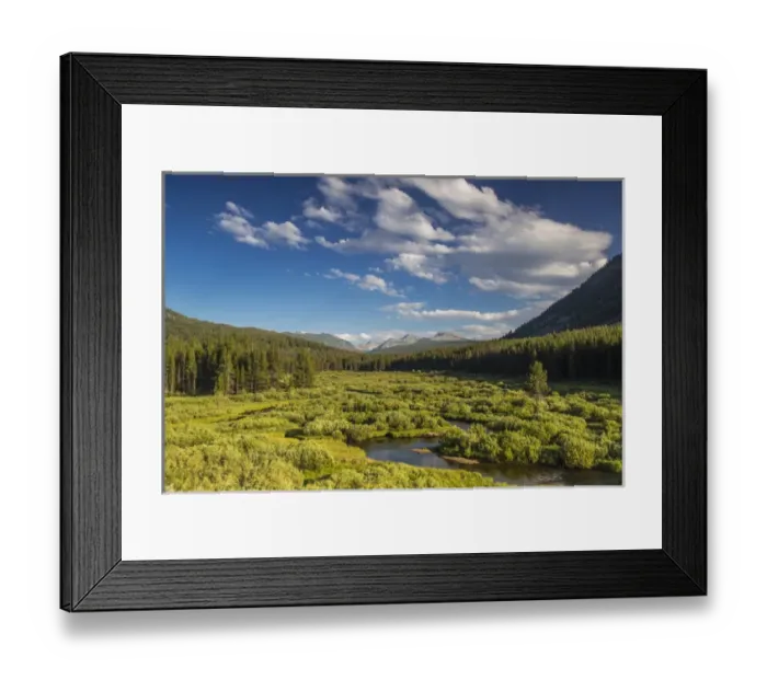 Framed Print : The Wise River in the Pioneer Mountains in the Beaverhead-Deer Lodge National Forest
