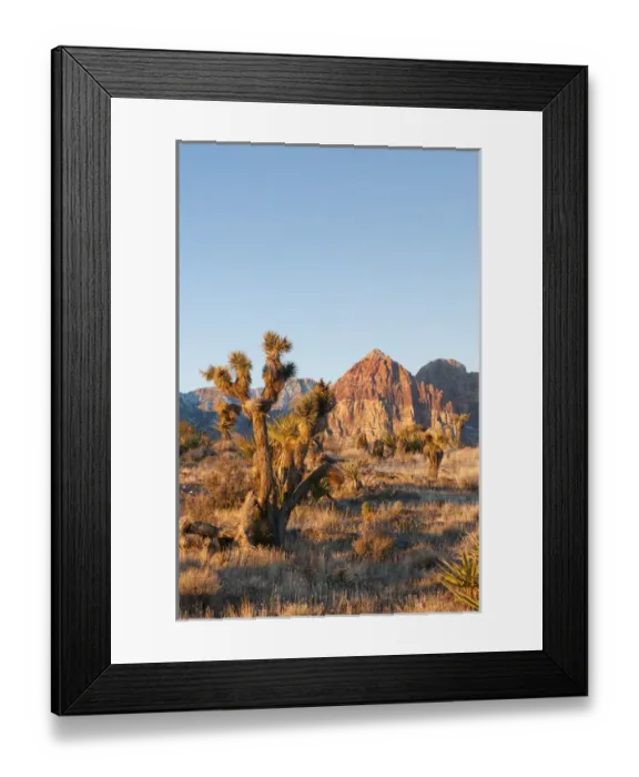 Framed Print : Red Rock Canyon outside Las Vegas, Nevada