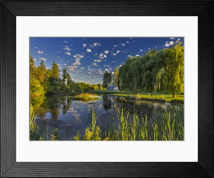 Framed Print : A slough of the Flathead River catches morning light in the Flathead Valley near Kalispell Framed Print : A slough of the Flathead River catches morning light in the Flathead Valley near Kalispell