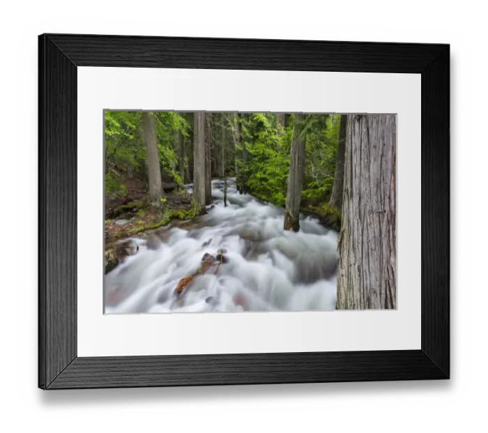 Framed Print : Jackson Creek in Glacier National Park, Montana, USA Framed Print : Jackson Creek in Glacier National Park, Montana, USA