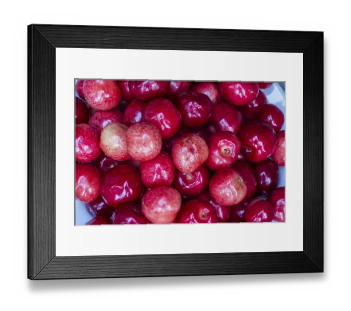 Framed Print : Fresh picked cherries in Whitefish, Montana, USA Framed Print : Fresh picked cherries in Whitefish, Montana, USA