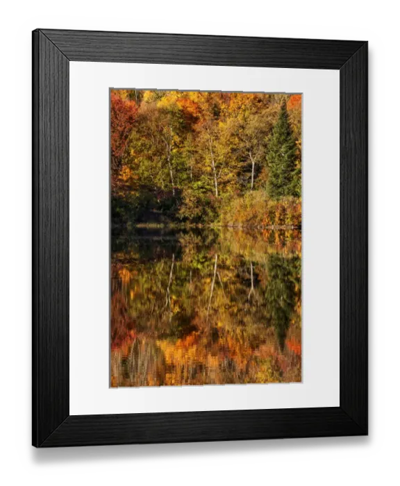 Framed Print : USA, New Hampshire, White Mountains, Autumn reflections on Coffin Pond Framed Print : USA, New Hampshire, White Mountains, Autumn reflections on Coffin Pond